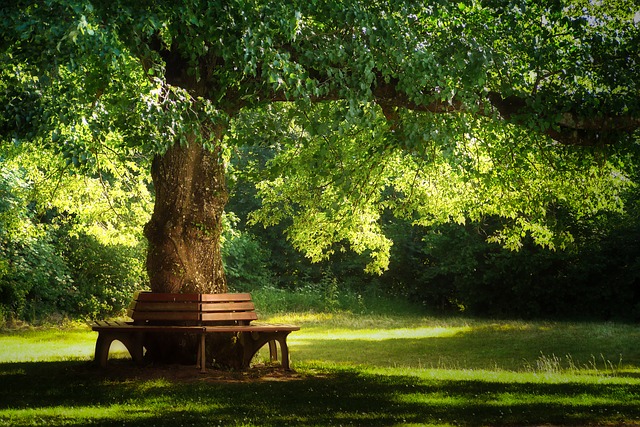 Lees meer over het artikel Groene leegte