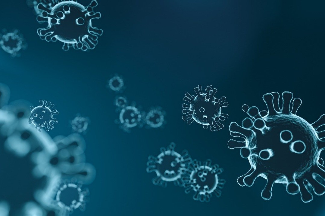 Lees meer over het artikel Miljoenen doden door epidemie