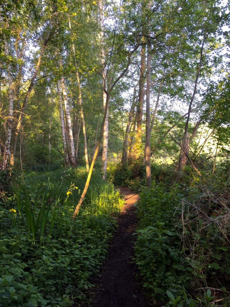 Tesken Polderveld wandeling Heemkring Heel 2