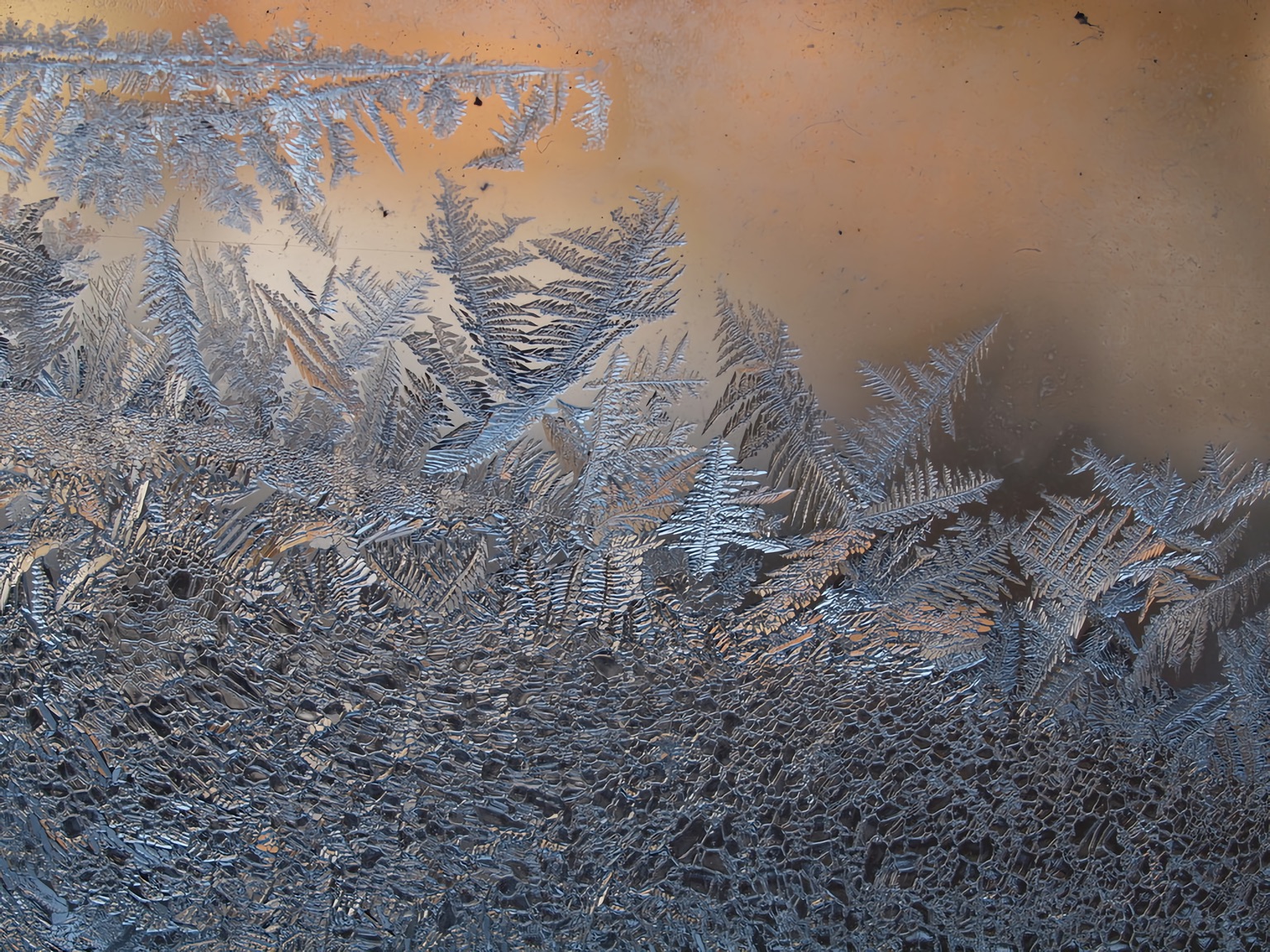 Lees meer over het artikel Winterkou
