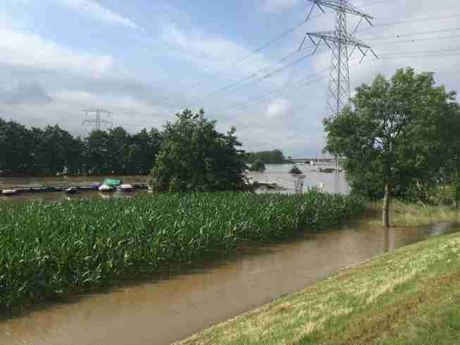 Haven van HSV de Lou in Pol