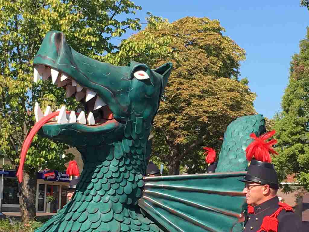 Lees meer over het artikel De Haelder draak