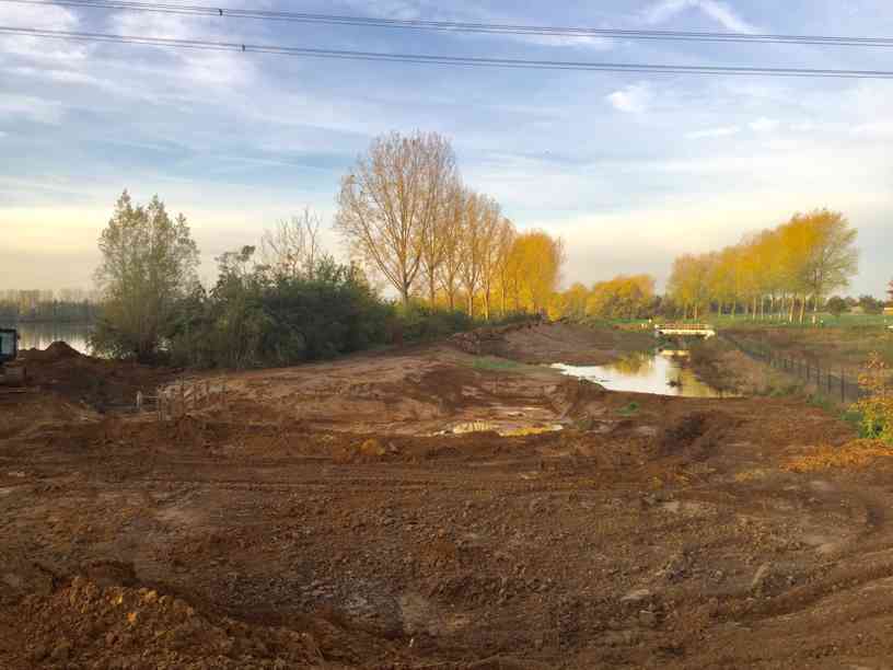 Nieuwe natuur in ontwikkeling