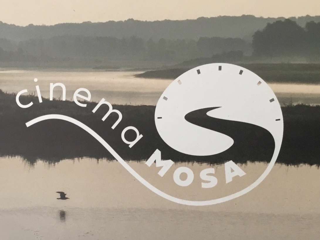Lees meer over het artikel Cinema Mosa