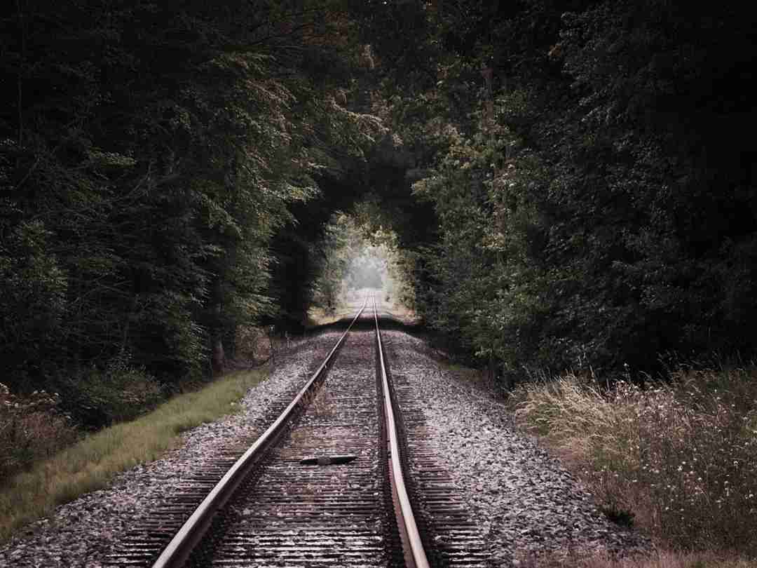 Lees meer over het artikel Inkel reis