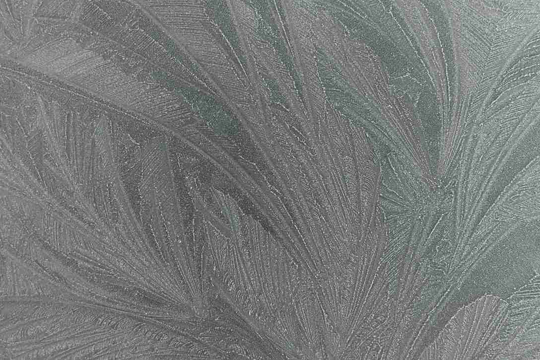 Je bekijkt nu Winterkou