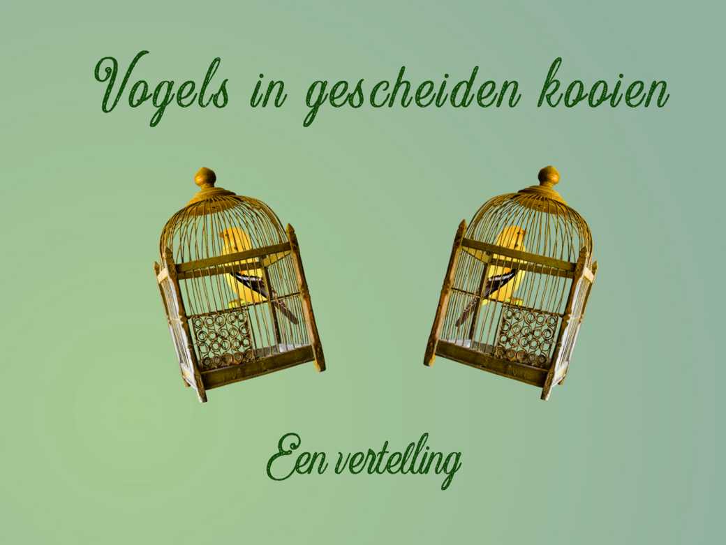 Je bekijkt nu Vogels in gescheiden kooien – een vertelling
